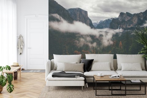 Fototapeta Las We Mgle Vinyl Gładki 520x318 FT-11-VGXXXXXL