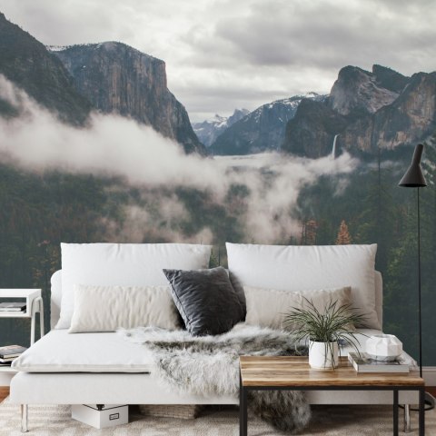 Fototapeta Las We Mgle Vinyl Strukturalny 270x180 FT-11-VS270-180