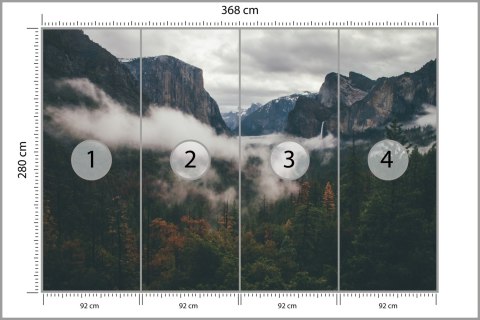 Fototapeta Las We Mgle Vinyl Strukturalny 368x280 FT-11-VS10