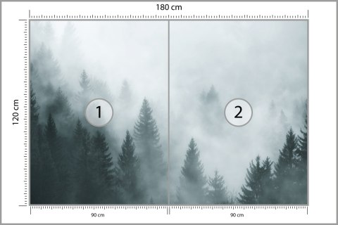 Fototapeta Las We Mgle Flizelina Zmywalna 180x120 FT-24-VEML180-120