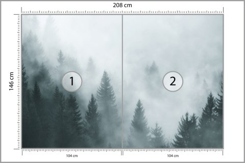 Fototapeta Las We Mgle Flizelina Zmywalna 208x146 FT-24-VEMLXL