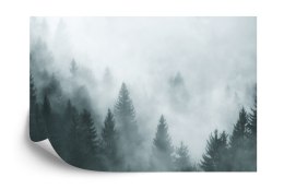 Fototapeta Las We Mgle Flizelina Zmywalna 405x270 FT-24-VEML405-270