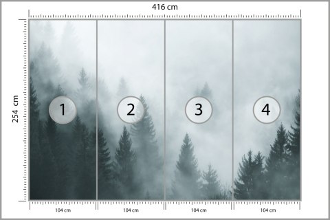 Fototapeta Las We Mgle Flizelina Zmywalna 416x254 FT-24-VEMLXXXL