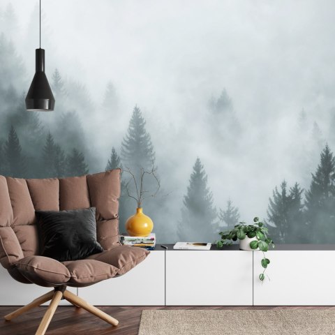 Fototapeta Las We Mgle Vinyl Gładki 312x219 FT-24-VGXXL