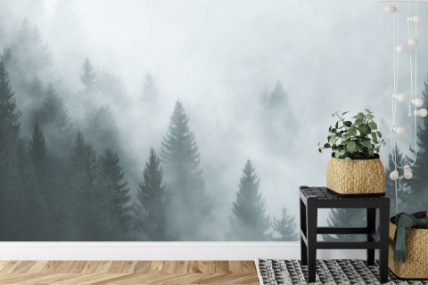 Fototapeta Las We Mgle Vinyl Gładki 416x290 FT-24-VGXXXXL