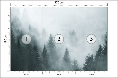 Fototapeta Las We Mgle Vinyl Strukturalny 270x180 FT-24-VS270-180