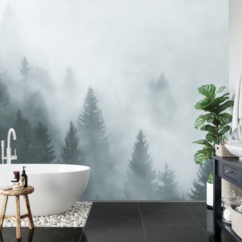 Fototapeta Las We Mgle Vinyl Strukturalny 300x210 FT-24-VS300-210