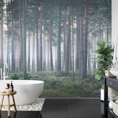 Fototapeta Las We Mgle Flizelina 405x270 FT-472-VE405-270