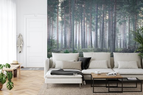 Fototapeta Las We Mgle Flizelina 520x318 FT-472-VEXXXXXL