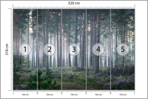 Fototapeta Las We Mgle Flizelina 520x318 FT-472-VEXXXXXL