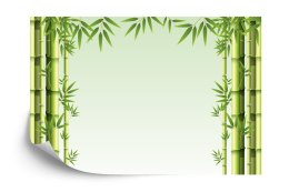 Fototapeta Malowany Bambusowy Las Vinyl Strukturalny 360x240 FT-2480-VS360-240