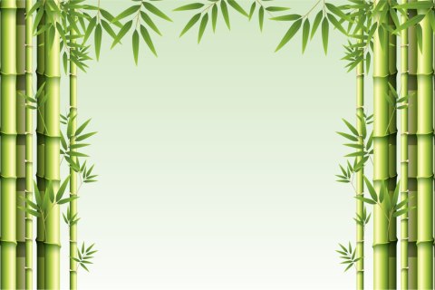 Fototapeta Malowany Bambusowy Las Vinyl Strukturalny 368x280 FT-2480-VS10