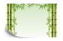 Fototapeta Malowany Bambusowy Las Vinyl Strukturalny 405x270 FT-2480-VS405-270