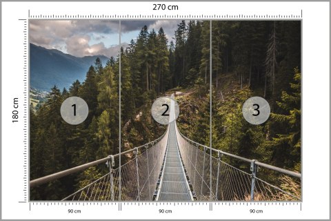Fototapeta Most Wiszący Flizelina 270x180 FT-132-VE270-180