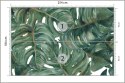 Fototapeta Akwarelowe Liście Monstery Flizelina 254x184 FT-2189-V4