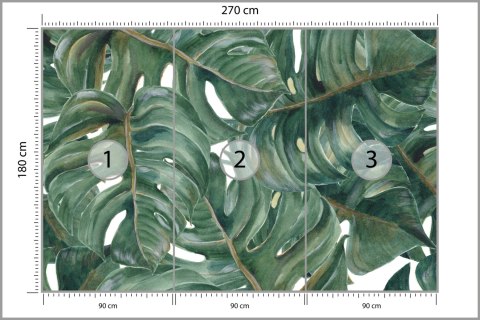 Fototapeta Akwarelowe Liście Monstery Flizelina 270x180 FT-2189-VE270-180