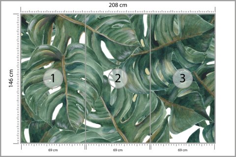 Fototapeta Akwarelowe Liście Monstery Vinyl Gładki 208x146 FT-2189-VGXL