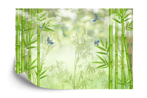 Fototapeta Bambusowy Las I Ptaki Flizelina 312x219 FT-2486-VEXXL