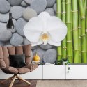 Fototapeta Bambusy Z Kamieniami I Orchideą Tapeta Samoprzylepna 180x120 FT-2488-SK180-120