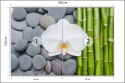 Fototapeta Bambusy Z Kamieniami I Orchideą Tapeta Samoprzylepna 180x120 FT-2488-SK180-120