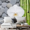 Fototapeta Bambusy Z Kamieniami I Orchideą Tapeta Samoprzylepna 300x210 FT-2488-SK300-210