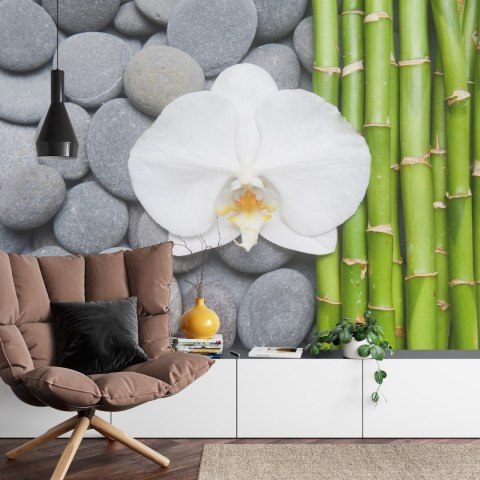 Fototapeta Bambusy Z Kamieniami I Orchideą Tapeta Samoprzylepna 300x210 FT-2488-SK300-210