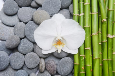 Fototapeta Bambusy Z Kamieniami I Orchideą Flizelina Zmywalna 180x120 FT-2488-VEML180-120