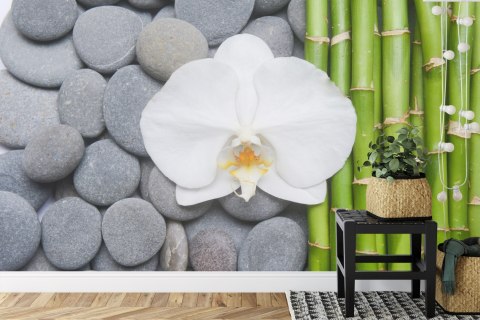 Fototapeta Bambusy Z Kamieniami I Orchideą Flizelina Zmywalna 180x120 FT-2488-VEML180-120