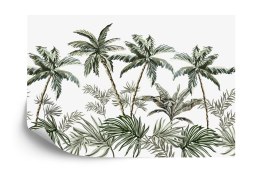 Fototapeta Palmy I Tropikalne Rośliny Flizelina Zmywalna 180x120 FT-2780-VEML180-120