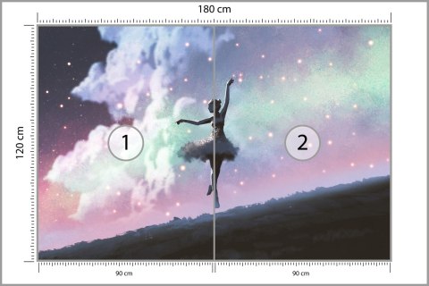 Fototapeta Baletnica Tańcząca Na Tle Nocnego Nieba Tapeta Samoprzylepna 180x120 FT-3832-SK180-120