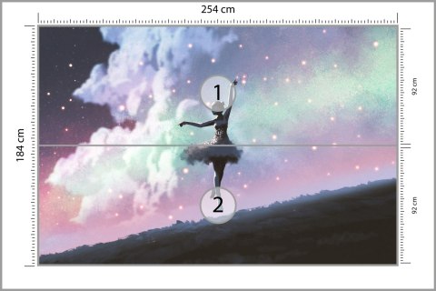 Fototapeta Baletnica Tańcząca Na Tle Nocnego Nieba Tapeta Samoprzylepna 254x184 FT-3832-SK4