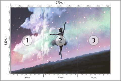 Fototapeta Baletnica Tańcząca Na Tle Nocnego Nieba Tapeta Samoprzylepna 270x180 FT-3832-SK270-180