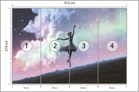 Fototapeta Baletnica Tańcząca Na Tle Nocnego Nieba Tapeta Samoprzylepna 312x219 FT-3832-SKXXL