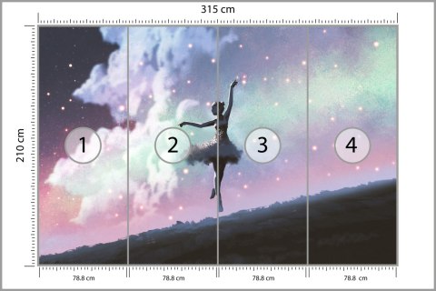 Fototapeta Baletnica Tańcząca Na Tle Nocnego Nieba Tapeta Samoprzylepna 315x210 FT-3832-SK315-210