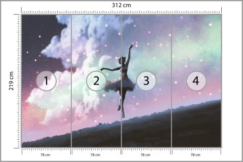 Fototapeta Baletnica Tańcząca Na Tle Nocnego Nieba Tapeta Samoprzylepna 416x254 FT-3832-SKXXXL