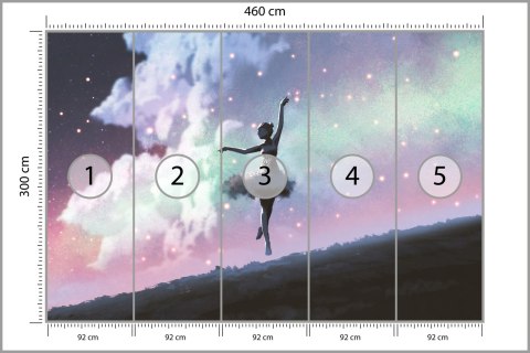 Fototapeta Baletnica Tańcząca Na Tle Nocnego Nieba Tapeta Samoprzylepna 460x300 FT-3832-SK12
