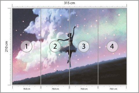 Fototapeta Baletnica Tańcząca Na Tle Nocnego Nieba Vinyl Strukturalny 315x210 FT-3832-VS315-210