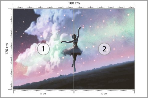 Fototapeta Baletnica Tańcząca Na Tle Nocnego Nieba Flizelina Zmywalna 180x120 FT-3832-VEML180-120
