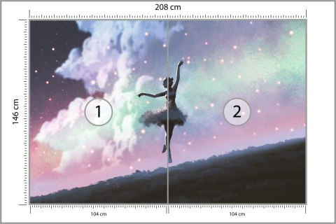 Fototapeta Baletnica Tańcząca Na Tle Nocnego Nieba Flizelina Zmywalna 208x146 FT-3832-VEMLXL