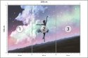 Fototapeta Baletnica Tańcząca Na Tle Nocnego Nieba Vinyl Gładki 208x146 FT-3832-VGXL