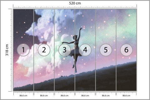 Fototapeta Baletnica Tańcząca Na Tle Nocnego Nieba Vinyl Gładki 520x318 FT-3832-VGXXXXXL