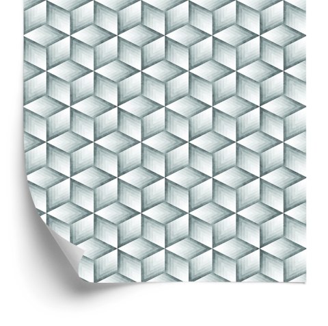 Tapeta Sześciany W Odcieniach Szarości - Efekt 3D Flizelina 53x1000 TR-55-VER-53
