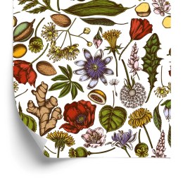 Tapeta Rośliny Polne Z Ziołami I Przyprawami Flizelina 53x1000 TR-3890-VER-53