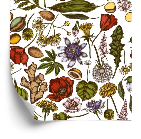 Tapeta Rośliny Polne Z Ziołami I Przyprawami Flizelina 53x1000 TR-3890-VER-53