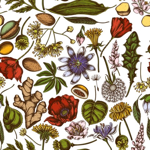 Tapeta Rośliny Polne Z Ziołami I Przyprawami Flizelina 53x1000 TR-3890-VER-53