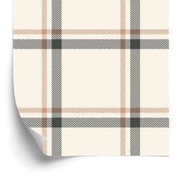 Tapeta 3D, Nowoczesna, Optyczna W Kratę Do Salonu Flizelina 53x1000 TR-2109-VER-53