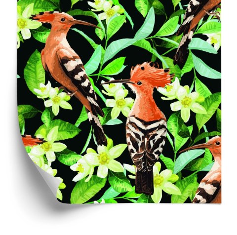 Tapeta - Dudki Wśród Kwiatów Flizelina 53x1000 TR-2770-VER-53