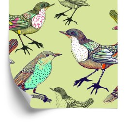 Tapeta - Kolorowe Ptaki Flizelina 53x1000 TR-1538-VER-53