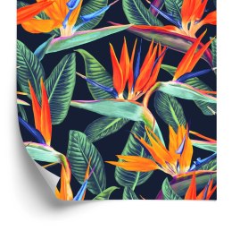 Tapeta Barwne Flizelina 53x1000 TR-988-VER-53