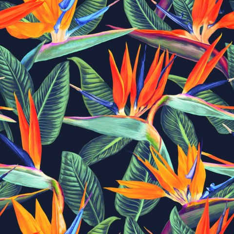 Tapeta Barwne Flizelina 53x1000 TR-988-VER-53